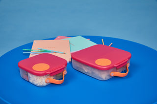 school lunch ideas for picky eaters: tips, resources, and lunchbox inspiration