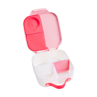 mini lunchbox - flamingo fizz