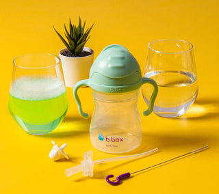sippy cup replacement straw and cleaner pack