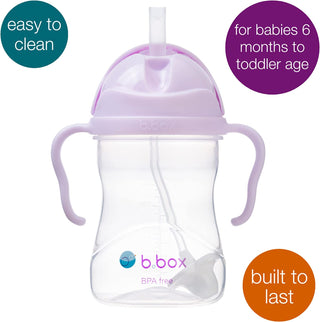 sippy cup - boysenberry