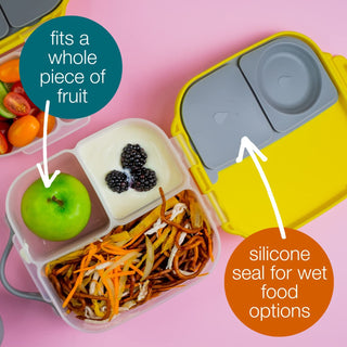 mini lunchbox - feeling peachy